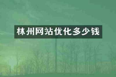林州网站优化多少钱