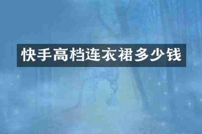 快手高档连衣裙多少钱