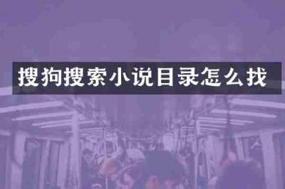 搜狗搜索小说目录怎么找