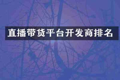 直播带货平台开发商排名