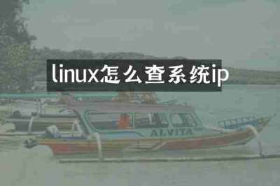 linux怎么查系统ip