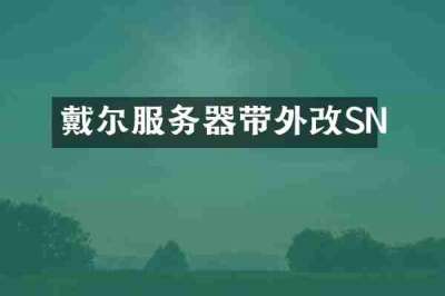 戴尔服务器带外改SN
