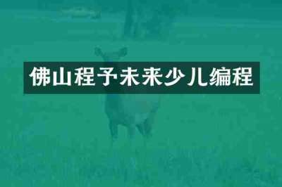 佛山程予未来少儿编程