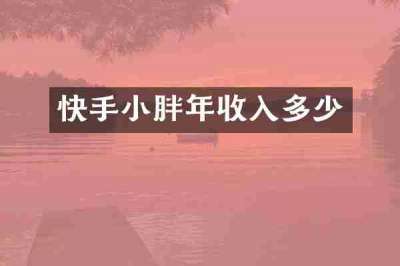 快手小胖年收入多少