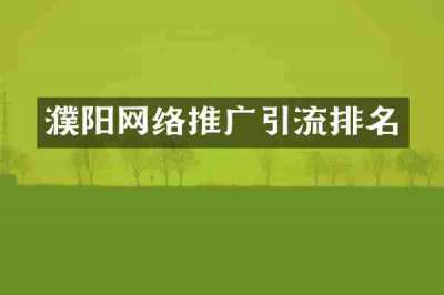 濮阳网络推广引流排名