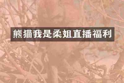 熊猫我是柔姐直播福利