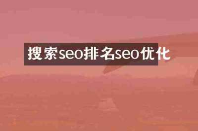 搜索seo排名seo优化