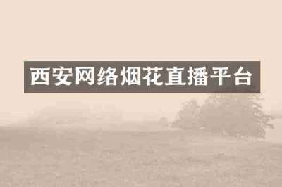 西安网络烟花直播平台