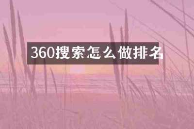 360搜索怎么做排名
