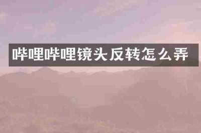 哔哩哔哩镜头反转怎么弄