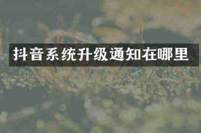抖音系统升级通知在哪里