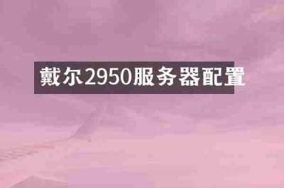 戴尔2950服务器配置