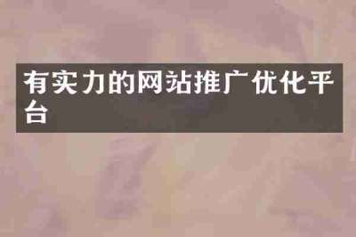 有实力的网站推广优化平台