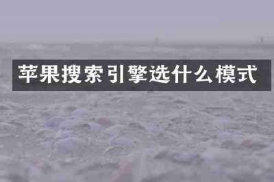 苹果搜索引擎选什么模式