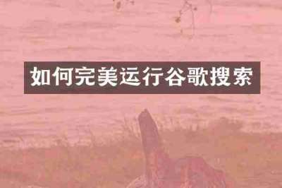 如何完美运行谷歌搜索