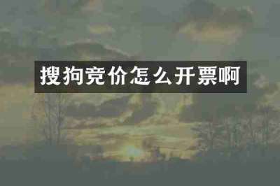 搜狗竞价怎么开票啊