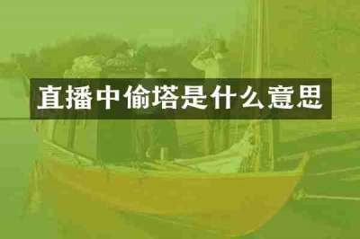 直播中偷塔是什么意思