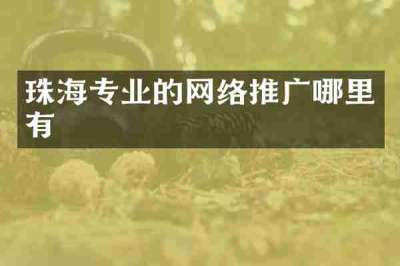 珠海专业的网络推广哪里有