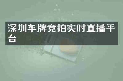 深圳车牌竞拍实时直播平台