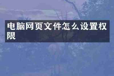 电脑网页文件怎么设置权限