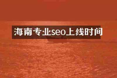海南专业seo上线时间