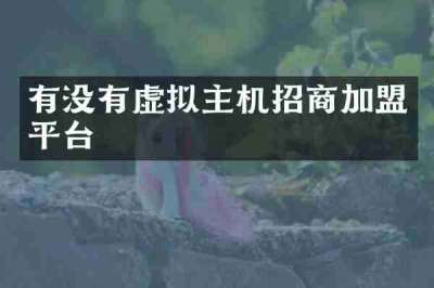 有没有虚拟主机招商加盟平台