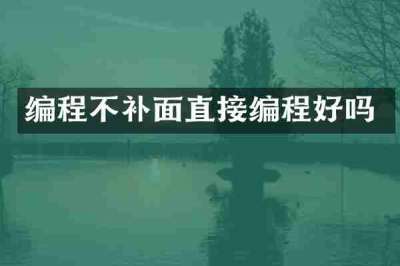 编程不补面直接编程好吗