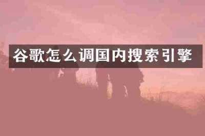 谷歌怎么调国内搜索引擎