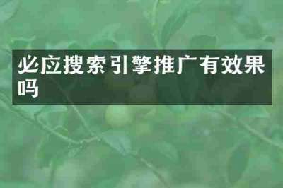 必应搜索引擎推广有效果吗