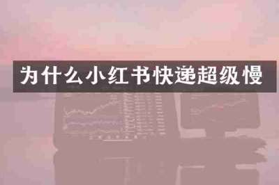 为什么小红书快递超级慢