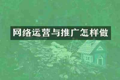 网络运营与推广怎样做