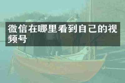 微信在哪里看到自己的视频号