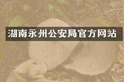 湖南永州公安局官方网站