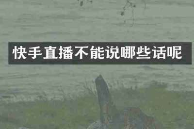 快手直播不能说哪些话呢