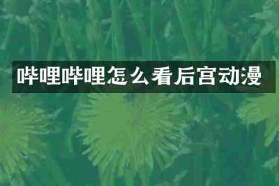 哔哩哔哩怎么看后宫动漫