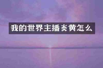 我的世界主播炎黄怎么
