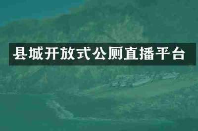 县城开放式公厕直播平台
