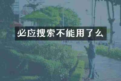 必应搜索不能用了么