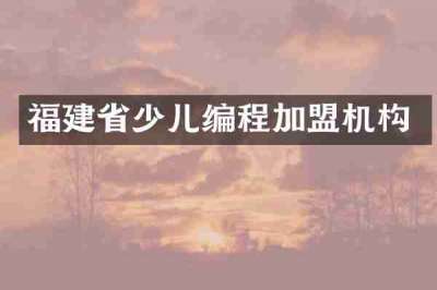 福建省少儿编程加盟机构