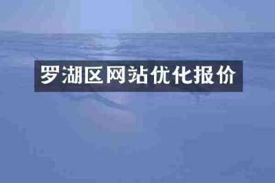 罗湖区网站优化报价