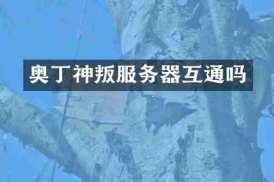 奥丁神叛服务器互通吗