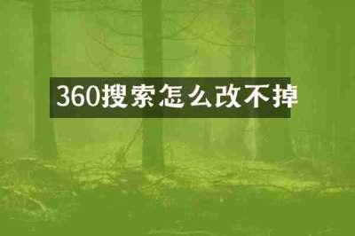 360搜索怎么改不掉