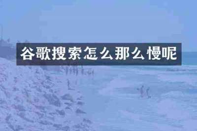 谷歌搜索怎么那么慢呢