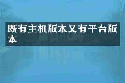 既有主机版本又有平台版本