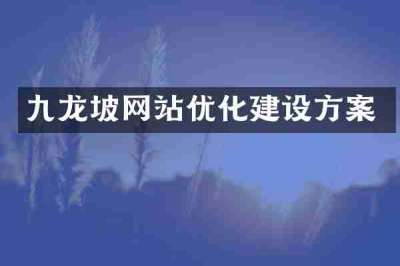 九龙坡网站优化建设方案