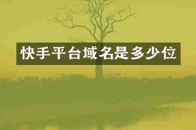 快手平台域名是多少位