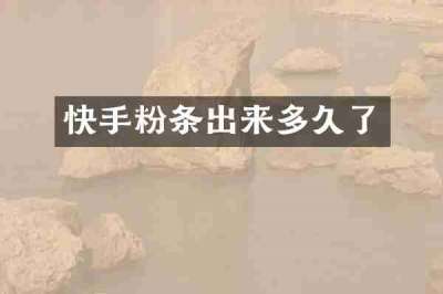 快手粉条出来多久了