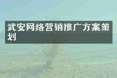 武安网络营销推广方案策划