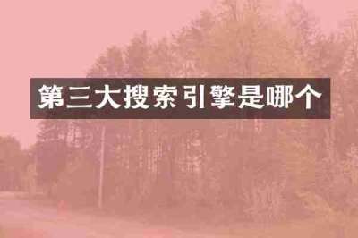 第三大搜索引擎是哪个