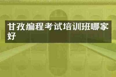 甘孜编程考试培训班哪家好